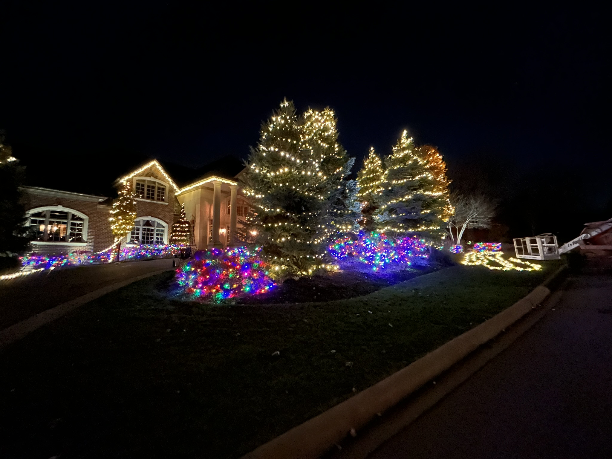 Front yard evergreens in warm white with multicolor lights across the bushes
